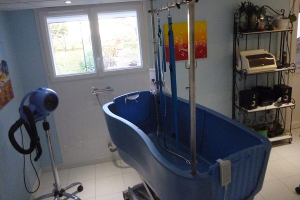 cropped-toilettage-niortais-lavdog1.jpg